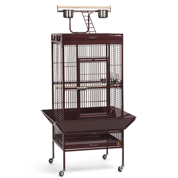 African Grey Transitional Modern Large Floor Bird Cages You'll Love